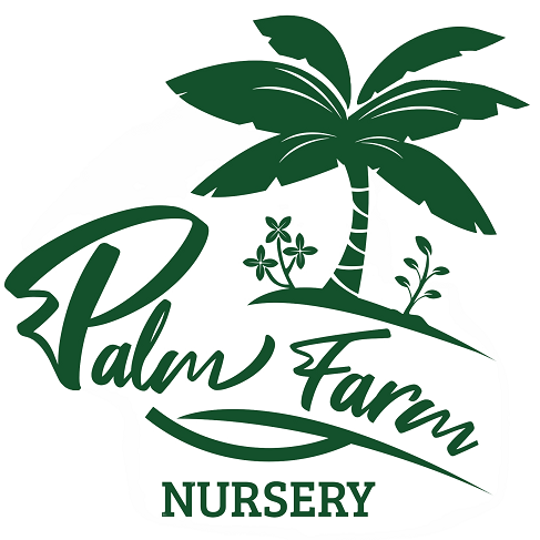 Palm Farm Nursery